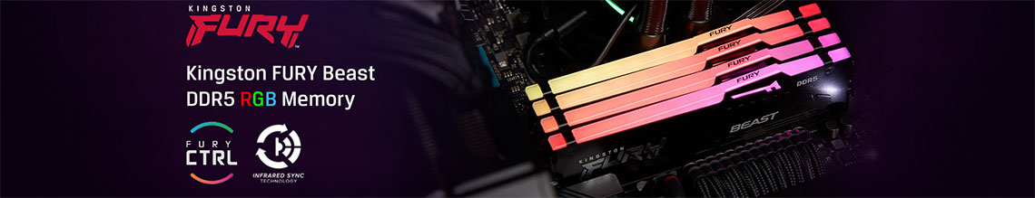 Kingston DDR5 RGB