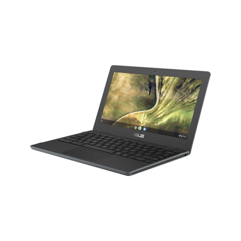 ASUS Chromebook C204 C204MA-BU0327 Laptop — Celeron N4020 / 11.6" HD