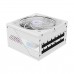 GIGABYTE AORUS ELITE Series AE850PM PG5 ICE 80 PLUS Platinum Fully Modular PCIe 5.1 12VHPWR 12V-2x6 ATX 3.1 PSU, 850w