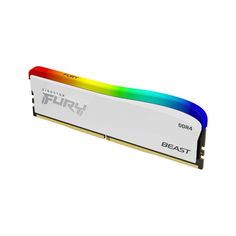 Kingston FURY Beast DDR4 RGB Special Edition 8GB (1 x 8GB) DDR4