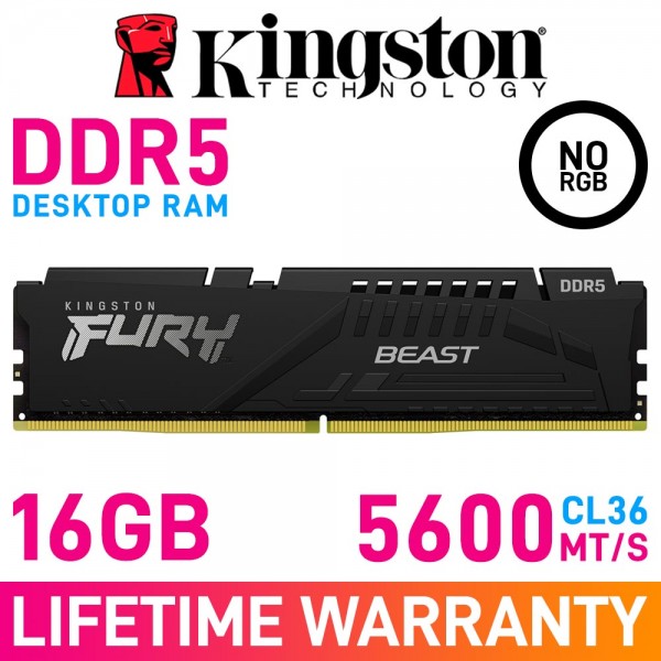 Kingston FURY BEAST DDR5 16GB (1 x 16GB) DDR5 DRAM 5600MHz CL36
