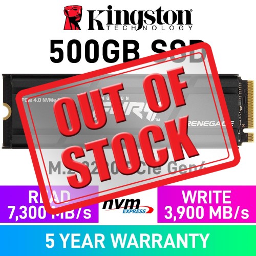 Kingston FURY Renegade PCIe Gen4x4 M.2 2280 NVMe SSD with Heatsink — 500GB